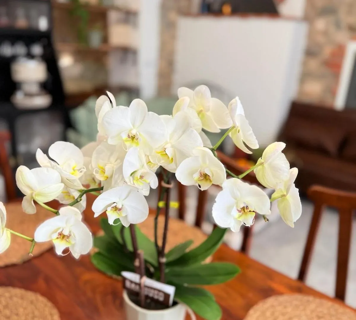 Apartament Antica Dimora Polpenazze Polpenazze del Garda